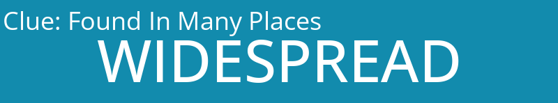 Found In Many Places