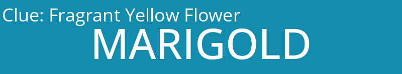 Fragrant Yellow Flower