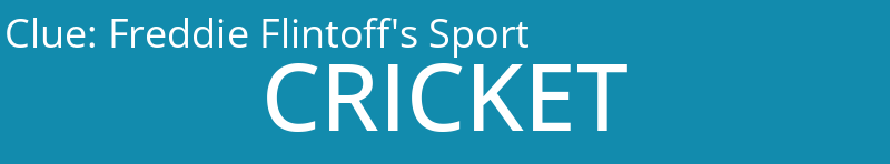 Freddie Flintoff's Sport
