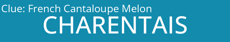 French Cantaloupe Melon