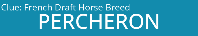 French Draft Horse Breed