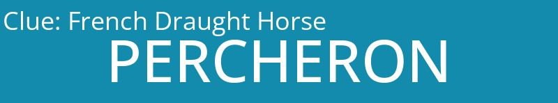 French Draught Horse