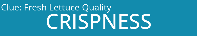 Fresh Lettuce Quality