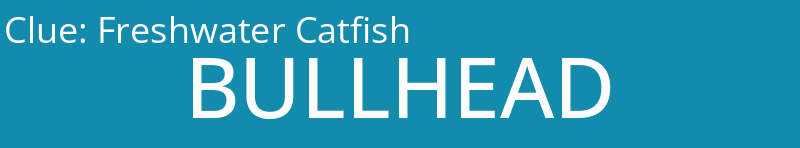 Freshwater Catfish