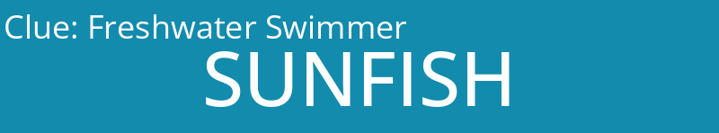 Freshwater Swimmer