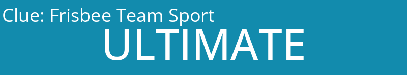 Frisbee Team Sport