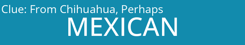From Chihuahua, Perhaps