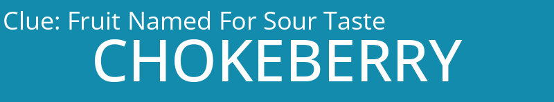 Fruit Named For Sour Taste
