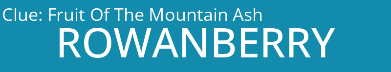 Fruit Of The Mountain Ash