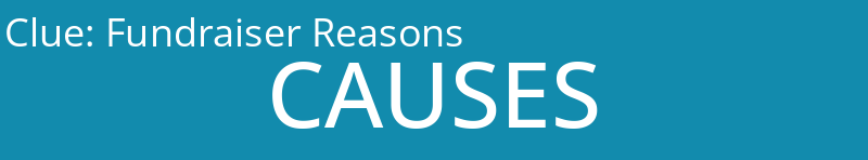 Fundraiser Reasons