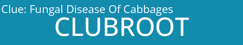 Fungal Disease Of Cabbages