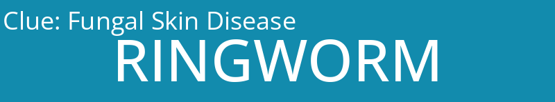 Fungal Skin Disease