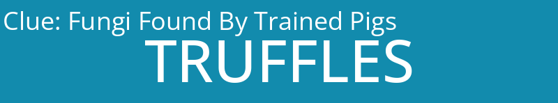 Fungi Found By Trained Pigs