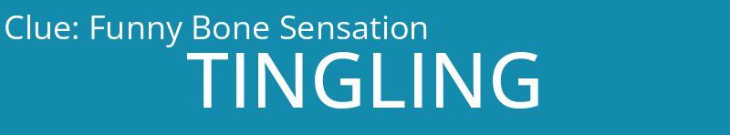 Funny Bone Sensation