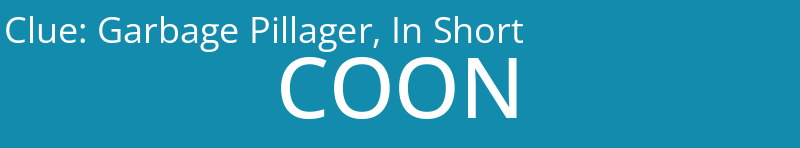 Garbage Pillager, In Short