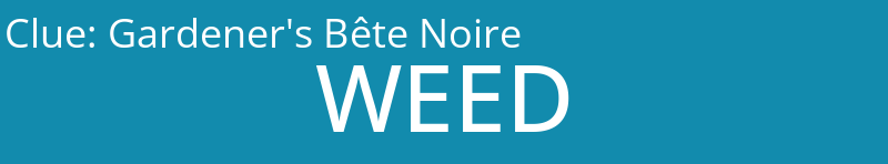 Gardener's Bête Noire