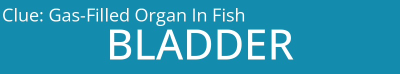 Gas-Filled Organ In Fish