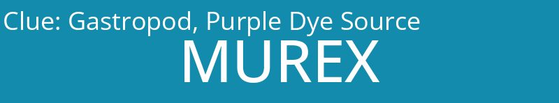 Gastropod, Purple Dye Source
