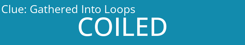 Gathered Into Loops