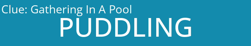 Gathering In A Pool