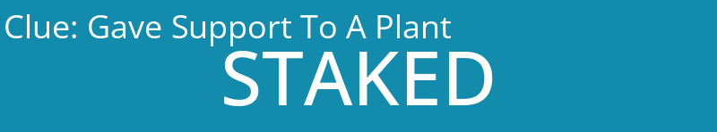 Gave Support To A Plant