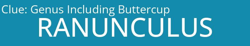 Genus Including Buttercup