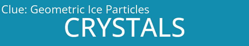 Geometric Ice Particles