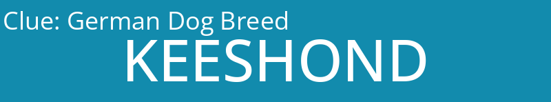 German Dog Breed