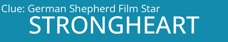 German Shepherd Film Star