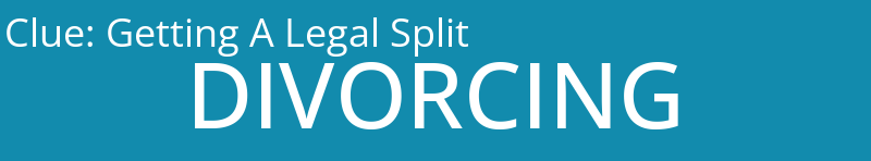 Getting A Legal Split