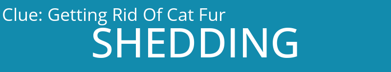 Getting Rid Of Cat Fur