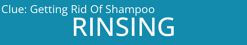 Getting Rid Of Shampoo