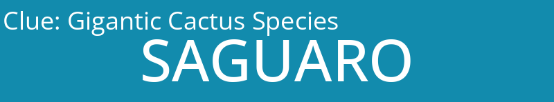 Gigantic Cactus Species