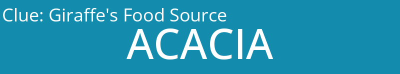 Giraffe's Food Source