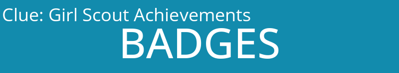 Girl Scout Achievements