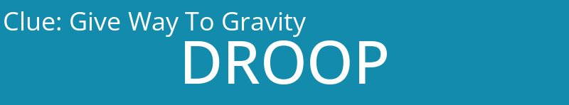 Give Way To Gravity