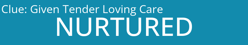 Given Tender Loving Care