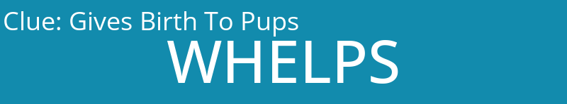Gives Birth To Pups