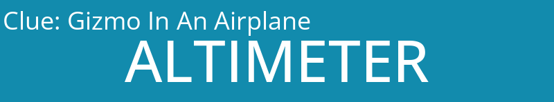 Gizmo In An Airplane