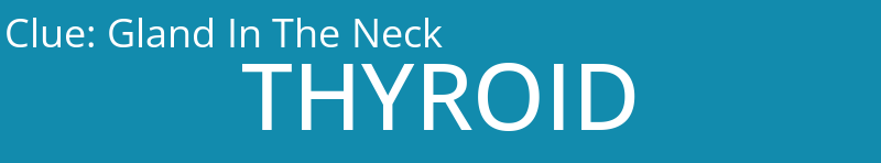 Gland In The Neck