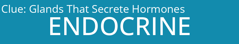 Glands That Secrete Hormones