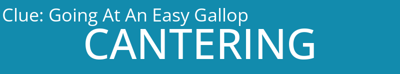 Going At An Easy Gallop