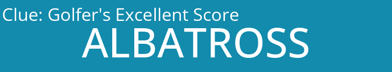 Golfer's Excellent Score