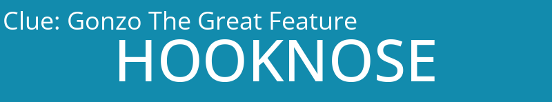 Gonzo The Great Feature