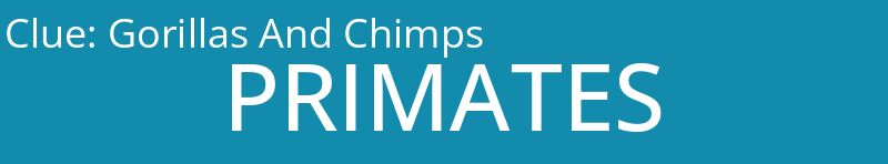 Gorillas And Chimps