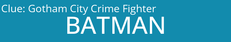 Gotham City Crime Fighter