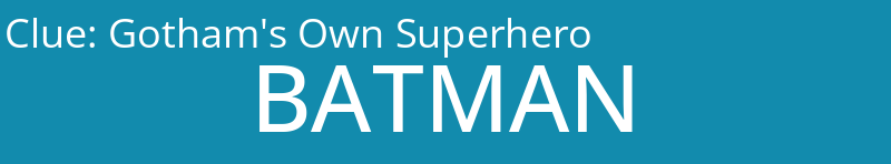 Gotham's Own Superhero