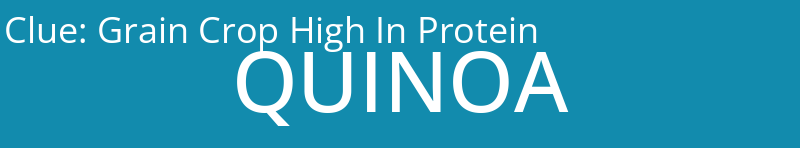 Grain Crop High In Protein