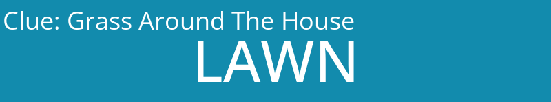 Grass Around The House