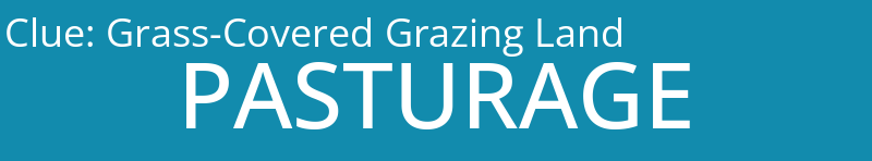 Grass-Covered Grazing Land
